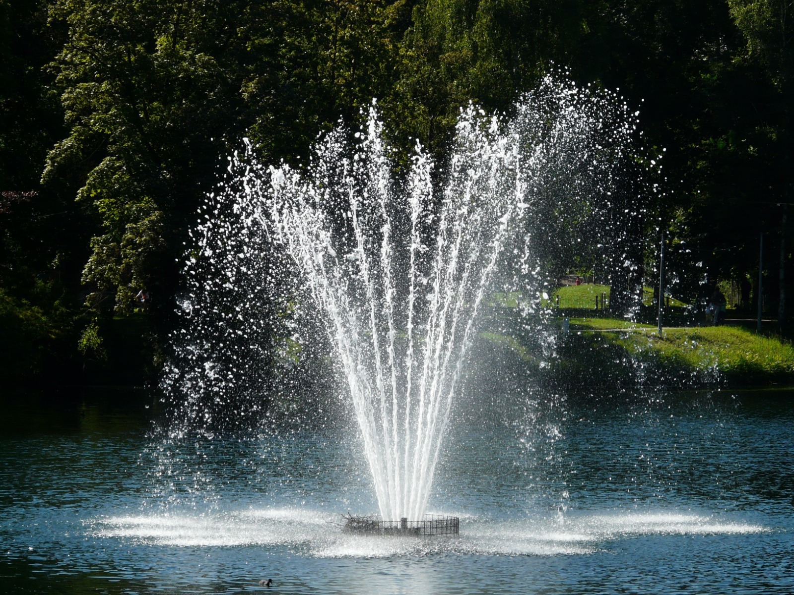 How to Choose the Right Water Feature for Your Landscape